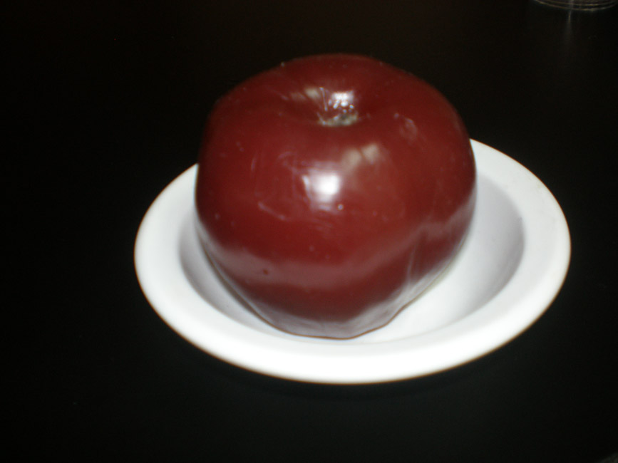 Meal Portion – Dr. Joy Callender